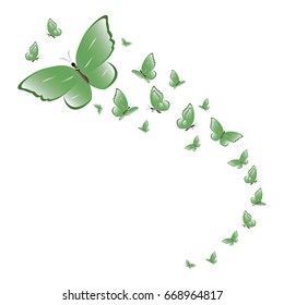 beautiful green butterflies, isolated on a white