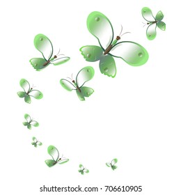 beautiful green butterflies, isolated on a white