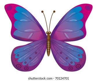 A beautiful green butterfly isolated.  Vector illustration
