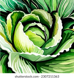 Beautiful green cabbage, watercolor dye painting, vector EPS 10 illustration