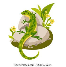 beautiful green contented lizard lies on a stone among the flowers