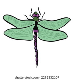 Beautiful green dragon fly ,good for graphic design resources.