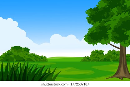 Beautiful green field on sunny day with tree and grass