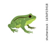 Beautiful green frog in profile. Vector illustration in Flat Style.