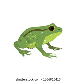 Beautiful green frog in profile. Vector illustration in Flat Style.