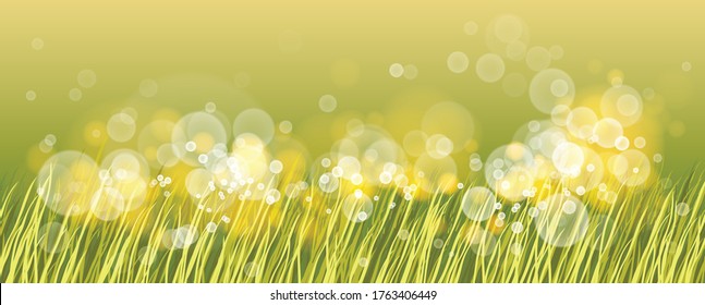 Hermosa hierba verde con luces borrosas de rocío sobre ella ilustración vectorial, luz solar matutina, campo natural y fondo de prado, ecología, pastizales.