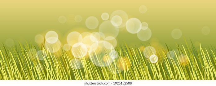 Beautiful green grass with bokeh blurred lights of dew on it vector illustration, morning sunlight, nature field and meadow background, ecology, grassland.