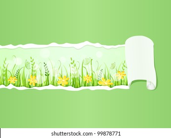 Beautiful Green Grass Meadow under Ripped Paper. Floral Vector Illustration of Grass at Lawn With Blue Sky