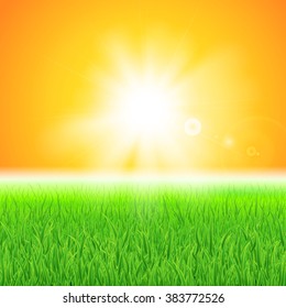 Beautiful green lawn with grass under the sun