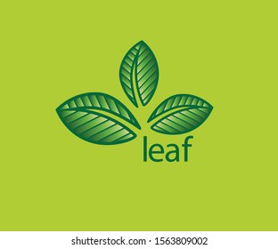 Beautiful green leaf logo template