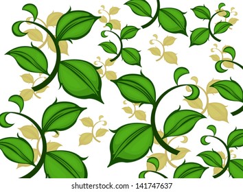 Beautiful green leaf on a white background