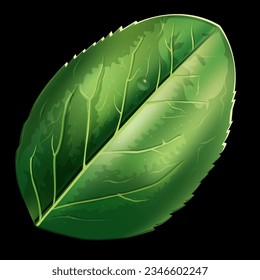 beautiful green leaf of a tree or bush