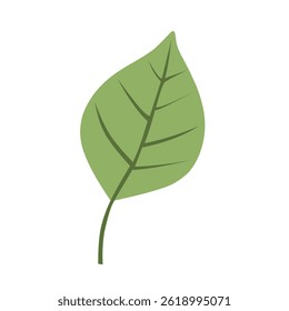 Design de vetor de folha verde bonito