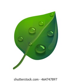 beautiful green leaf with water drops Vector icon