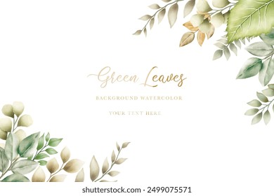 beautiful green leaves background watercolor 