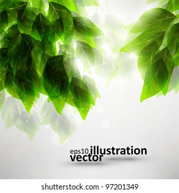 Beautiful green leaves, eco vector background eps10