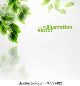 Beautiful green leaves, eco vector background eps10