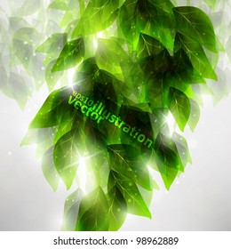 Beautiful green leaves, eco vector background eps10
