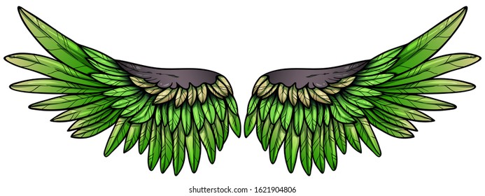 Beautiful green parrot bright colorful wings, hand drawn vector