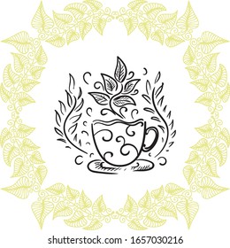 Beautiful green tea. Sketch. Vector illustration