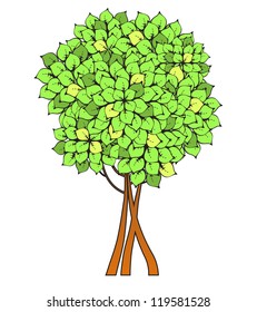 Beautiful green tree