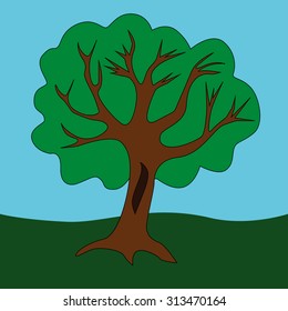 Beautiful green tree with a hollow