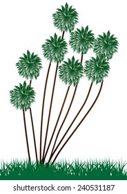 Beautiful green tree isolated on white-Vector illustration 