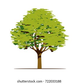 Beautiful Green Tree with Leaves. Vector Illustration.