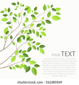 Beautiful Green Tree on a White Background Vector Illustration. EPS10