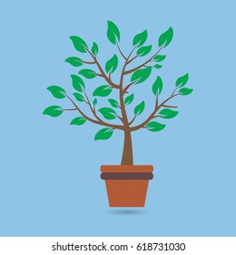 Beautiful Green tree over blur background