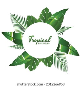 Beautiful green tropical leaves background