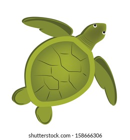 11,866 Baby Green Turtle Images, Stock Photos & Vectors | Shutterstock