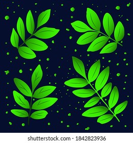 Beautiful green twigs on a blue background. Vector botanical illustration