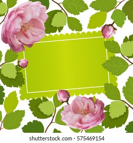 Beautiful greeting card with a frame of spring roses flowers. 3d roses. Vector illustration.