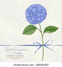 Beautiful greeting card with hydrangea flowers. Vector illustration.