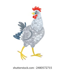 Beautiful grey chicken. In cartoon style. Isolated on white background. Vector flat illustration.