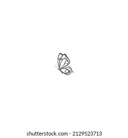 Beautiful grey color nature flying insect exotic butterfly with funny wings vector.