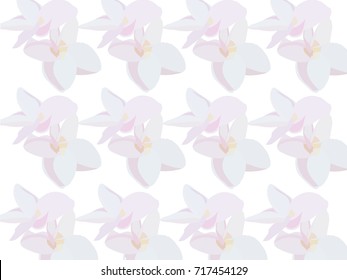 Beautiful Group of Frangipani flowers abstract seamless pattern background , seamless pattern design illustration