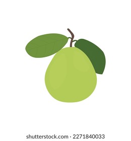 A beautiful guava vector artwork