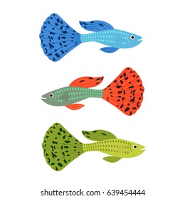 Beautiful guppy fish. vector