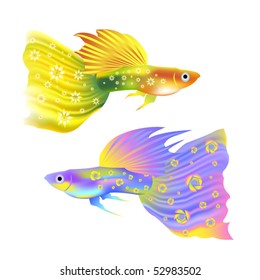 Beautiful guppy fish.vector