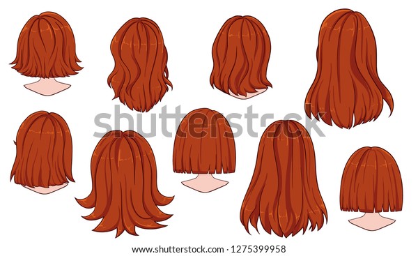 Beautiful Hairstyle Woman Hair Rear View Stock Vector