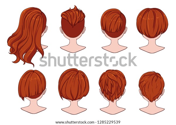Beautiful Hairstyle Woman Hair Rear View Stock Vektorgrafik