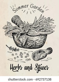 Beautiful hand drawing healthy herbs and spices mortar. Herbs, basil, chervil.