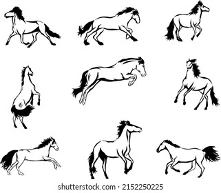 Beautiful hand drawing line art illustrations of various horses