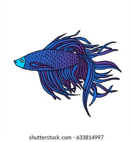 Beautiful hand drawn Aquarium  Betta Fish.