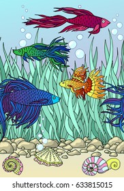 Beautiful hand drawn Aquarium with fish. 