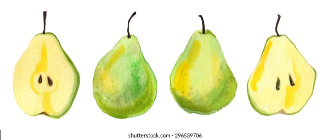 Beautiful hand drawn artistic Pears, watercolor painting on white background - vector illustration