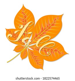 Beautiful hand drawn autumn foliage vector sale label, banner template. Lettering design. Fall leaf. Vector illustration