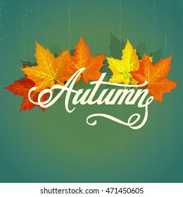 Beautiful hand drawn autumn foliage vector sale label, banner template. Lettering design. Fall leaf. Vector illustration EPS10
